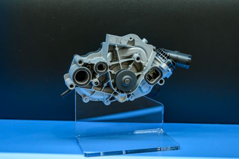 MUZ_6242_print.jpg